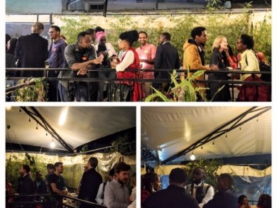 Image in the article Networking Event – Hidden Gem