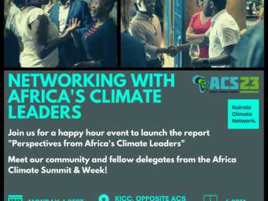 Image in the article Networking event – Perspectives from Africa’s Climate Leaders