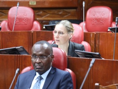 Image in the article Carbon Markets Working Group – feedback on the Climate Change Amendment Bill