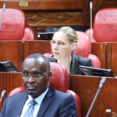 Image in the article Carbon Markets Working Group – feedback on the Climate Change Amendment Bill