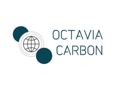 Image in the article Octavia Carbon