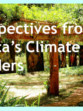 Image in the article Perspectives from Africa’s Climate Leaders