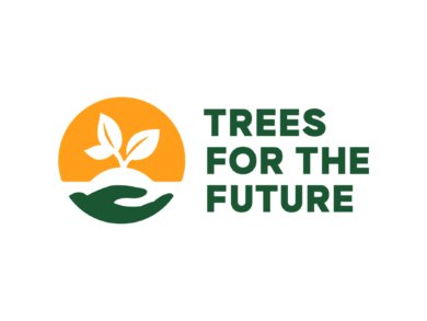 Image in the article Trees For The Future