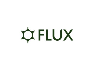 Image in the article FLUX