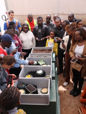 Image in the article Kenya’s Circular Economy Ecosystem in 2025: Lessons from the Circular ClimAccelerator