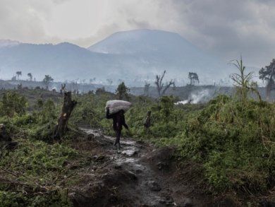 Image in the article Africa Climate Week: Rebuilding the climate finance architecture