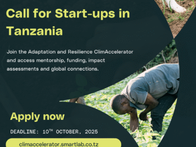 Image in the article Apply to the Adaptation and Resilience ClimAccelerator Cohort 3