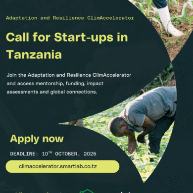 Image in the article Apply to the Adaptation and Resilience ClimAccelerator Cohort 3