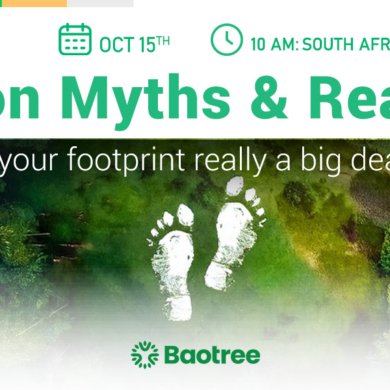 Image in the article Carbon Myths & Realities: Is Your Footprint Really a Big Deal?